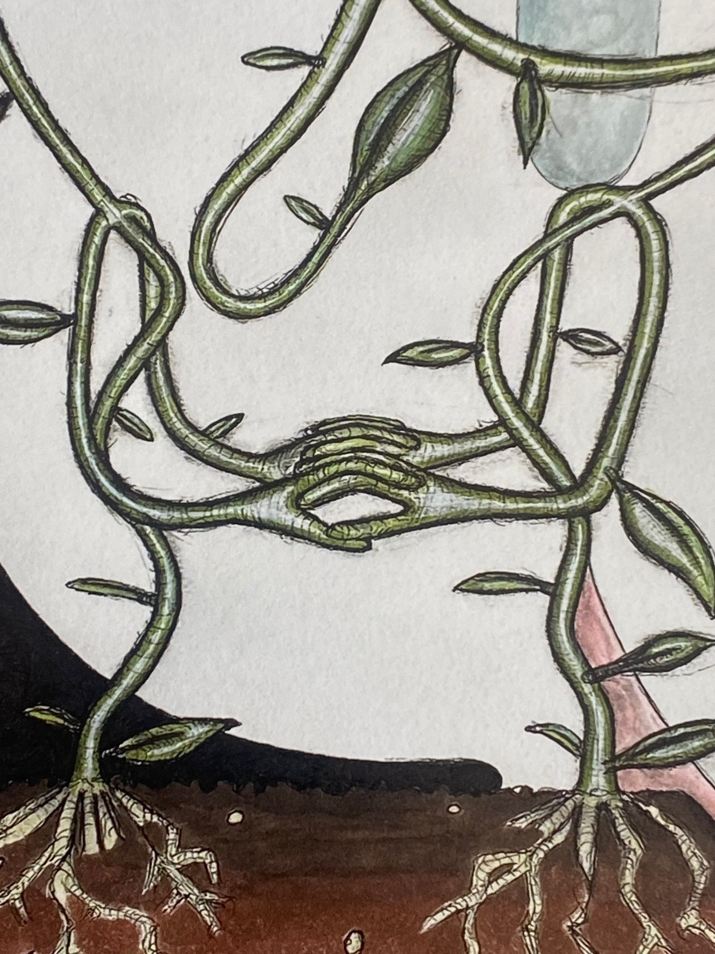 Rooted With You